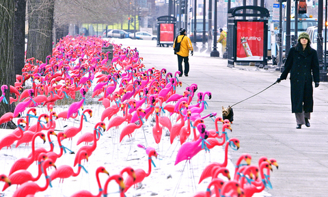 Flamingo Party People