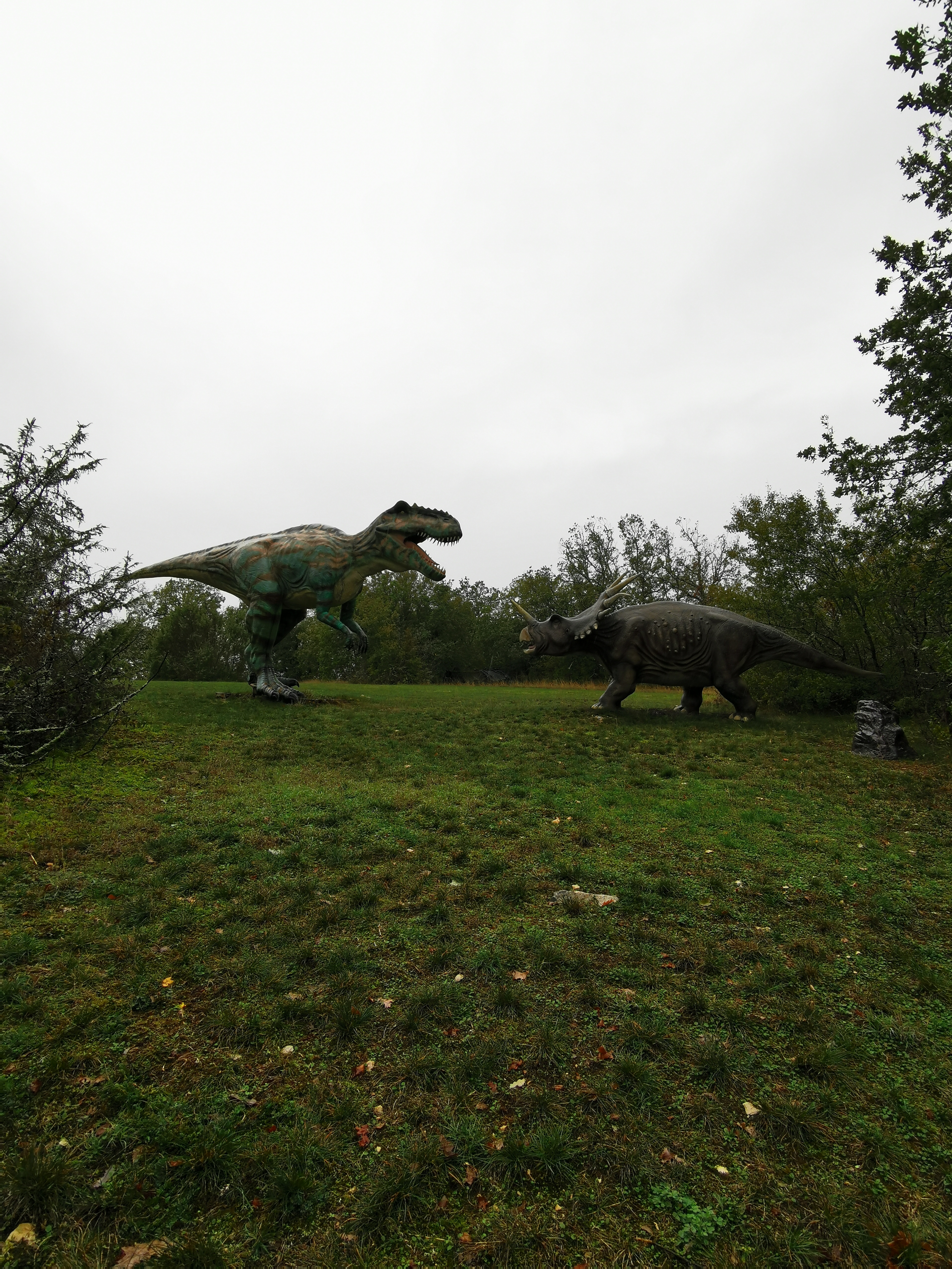 Photo n° 13 de l'avis de pascal. fait le 23/10/2019 à 14:57