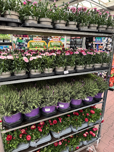 Ostaszewo 59, 87-148 Łysomice