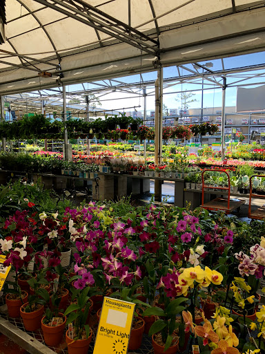 Home Improvement Store «The Home Depot», reviews and photos, 2455 W International Speedway Blvd, Daytona Beach, FL 32114, USA