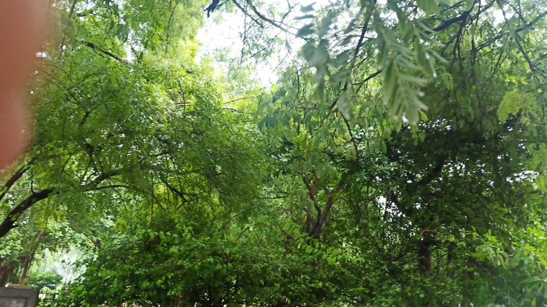 Vasant Vihar park