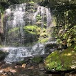 Neversink Gorge Trails