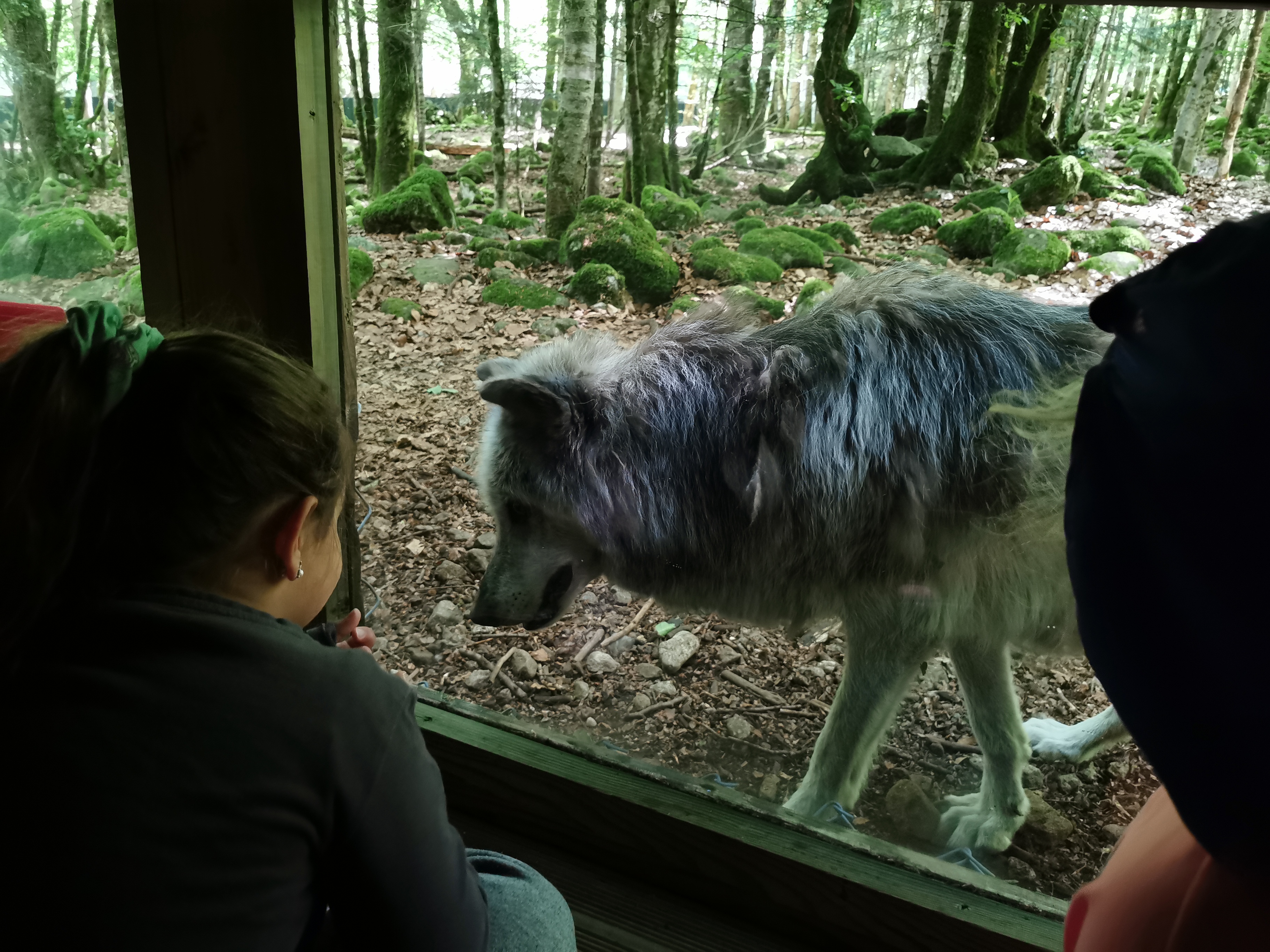 Photo n° 2 de l'avis de Marie.U fait le 04/06/2022 à 10:22