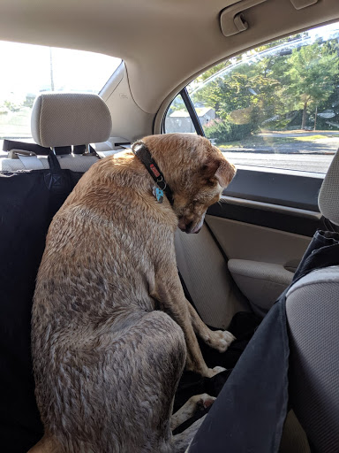 Pet Supply Store «Pet Valu», reviews and photos, 1611 Boston Post Rd, Milford, CT 06460, USA