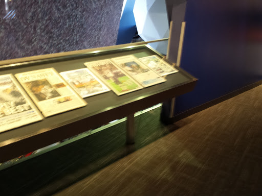 Shopping Mall «Patriot Place», reviews and photos, 2 Patriot Pl, Foxborough, MA 02035, USA