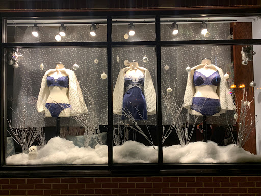 Lingerie Store «Hush Intimate Apparel», reviews and photos, 431 W Main St, Brighton, MI 48116, USA