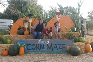 Echo Corn Maze & Pumpkin Patch image