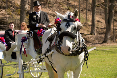 Sentineal Horse & Carriage