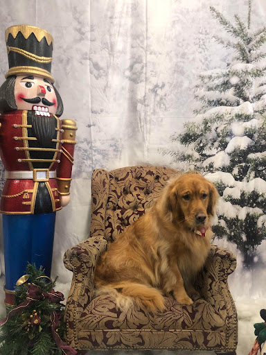 Pet Groomer «All For Paws», reviews and photos, 246 W Manson Hwy #6, Chelan, WA 98816, USA