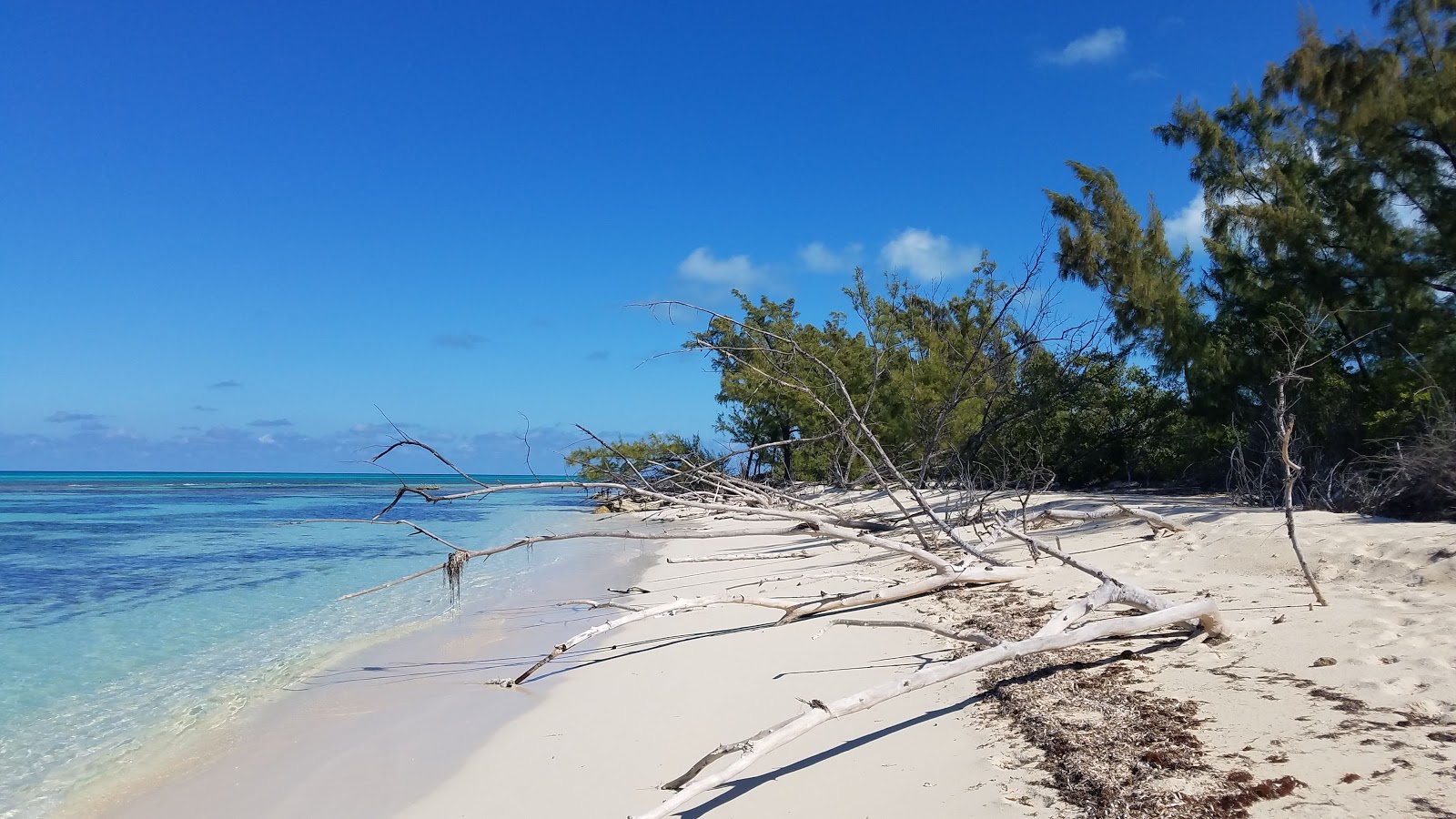 Photo de MK's Lagoon avec un niveau de propreté de partiellement propre