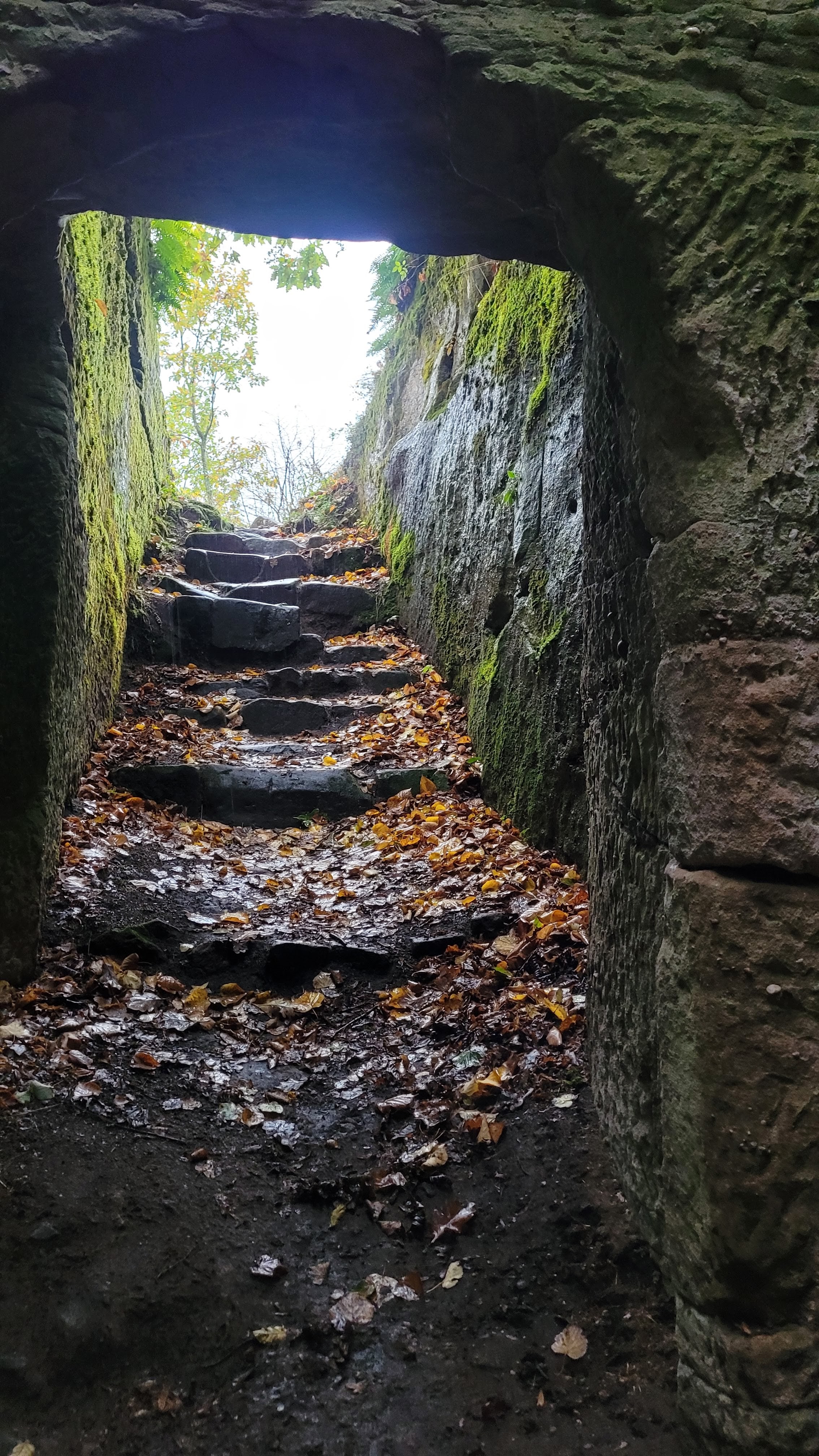 Photo n° 7 de l'avis de Verena.a fait le 31/10/2023 à 09:18