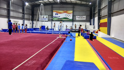 The Gymnastic Academy