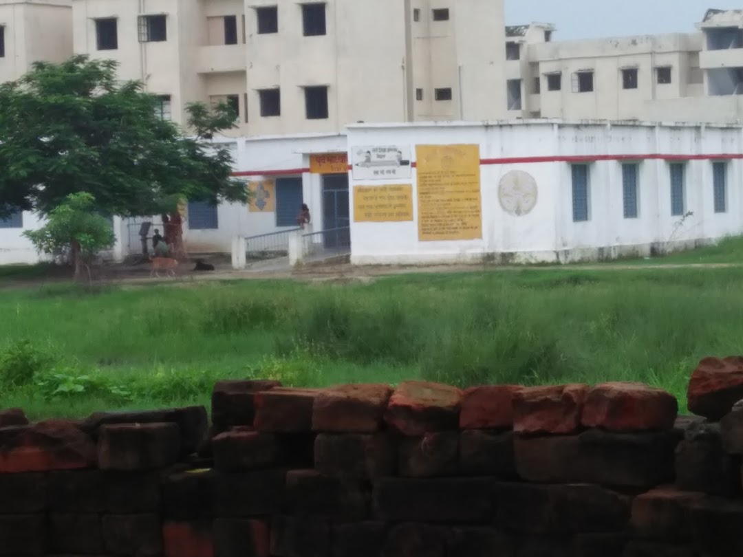 Primary School