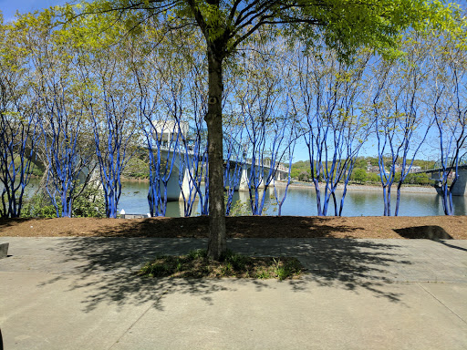 Aquarium «Tennessee Aquarium», reviews and photos, 1 Broad St, Chattanooga, TN 37402, USA