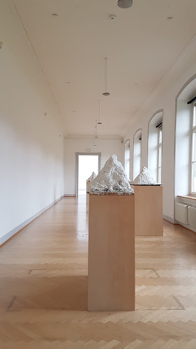 Rezensionen über Kunstmuseum St.Gallen in Winterthur - Museum