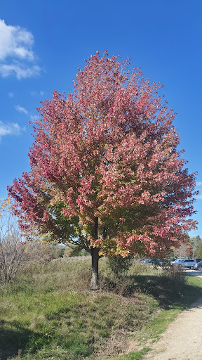 Nature Preserve «McDonald Woods Forest Preserve», reviews and photos, 19611 W Grass Lake Rd, Lake Villa, IL 60046, USA