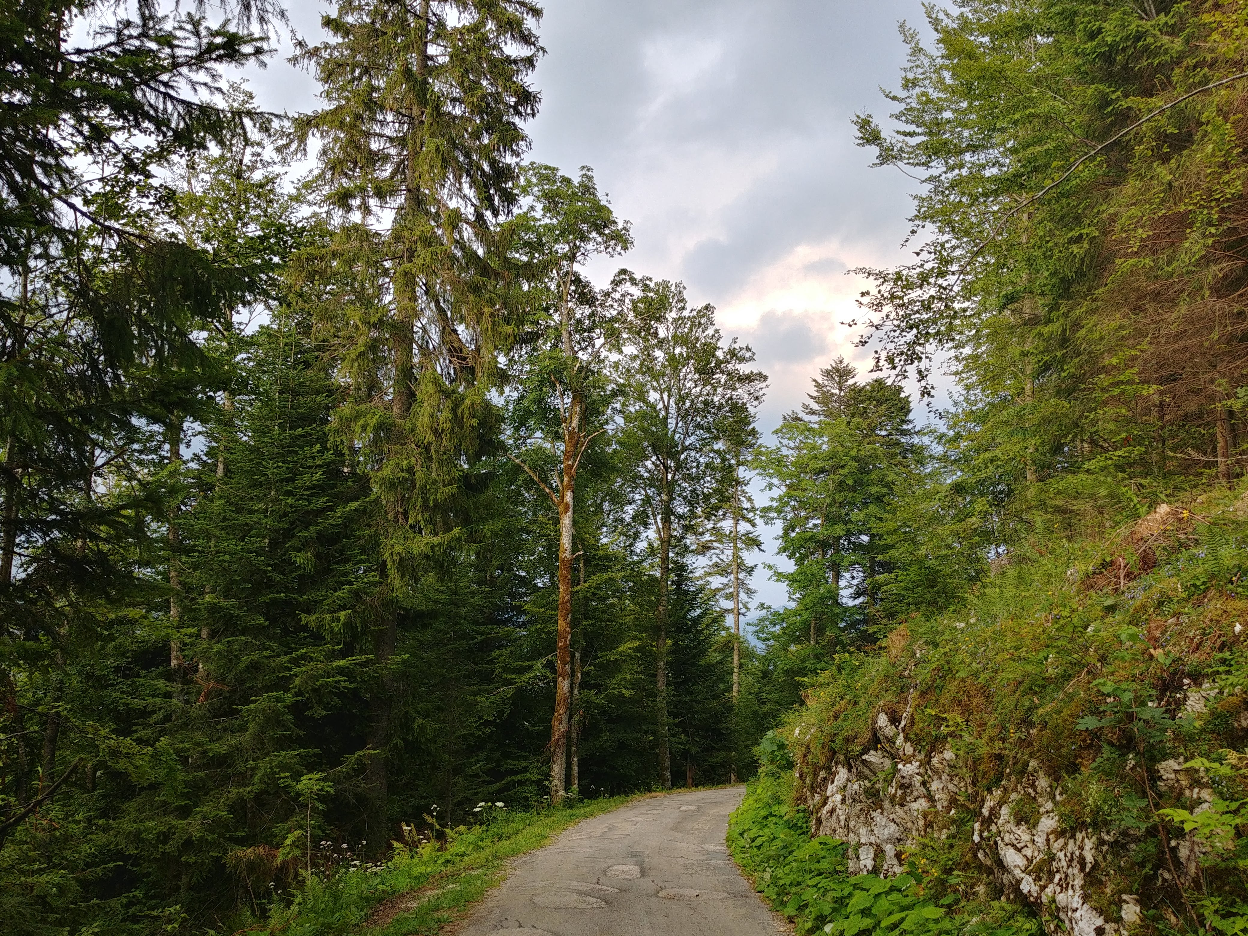 Photo n° 3 de l'avis de Aurely.e fait le 22/08/2018 à 08:54