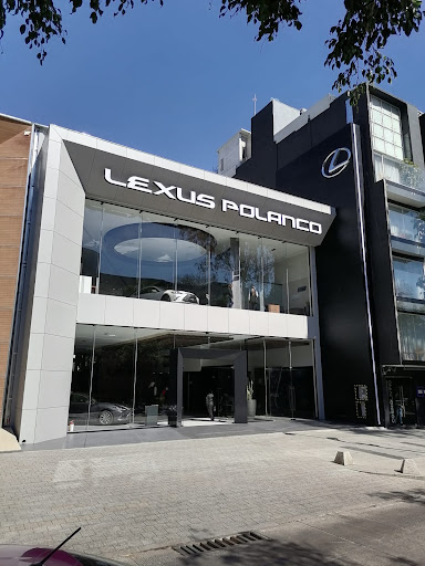 Lexus Polanco