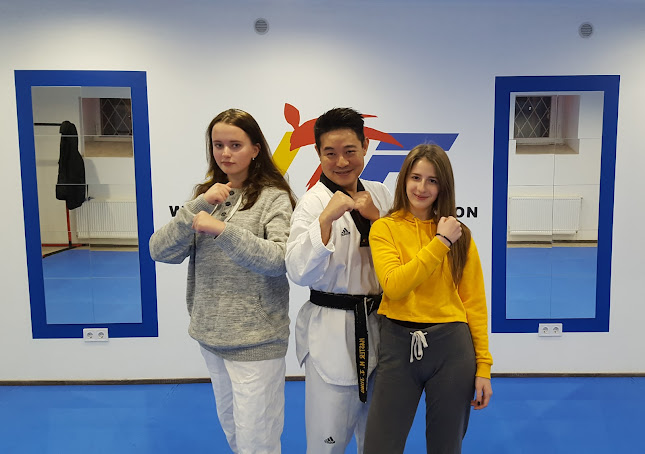 Taekwondo and Kickboxing Organization (TKO) - Budapest