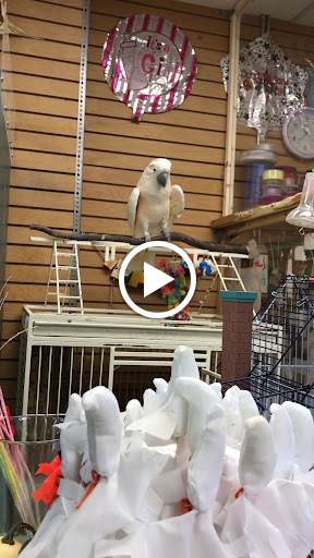 Florist «Blossom Time Florists», reviews and photos, 1868 Victory Blvd, Staten Island, NY 10314, USA