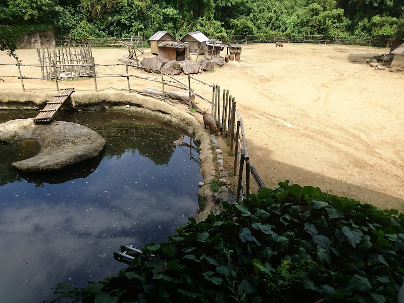 徳島動物園北島建設の森 サバンナ