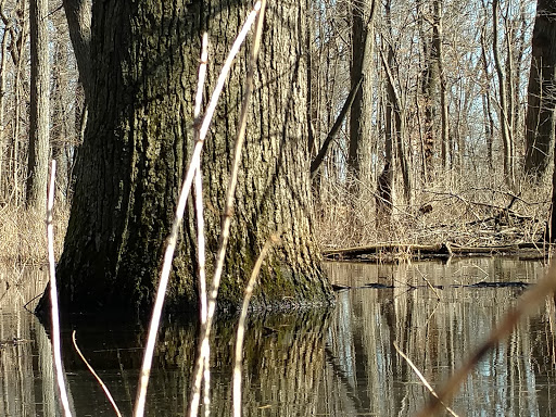 Park «Jaycee Park», reviews and photos, Beverly J Griffin Dr, Romeoville, IL 60446, USA