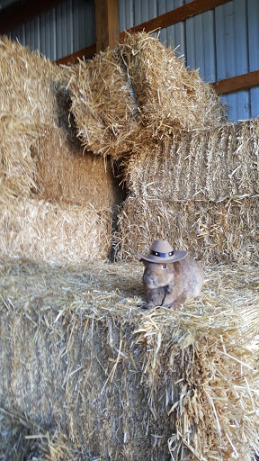 Pet Supply Store «Heritage Feed & Supply Co LLC», reviews and photos, 2812 NY-17K, Bullville, NY 10915, USA