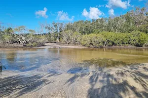 Awinya Creek camping area, K`gari (Fraser Island) Recreation Area image