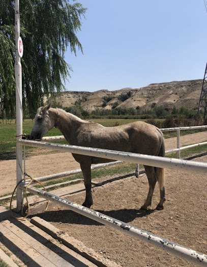 Akhal Teke Horse Riding Center Cappadocia