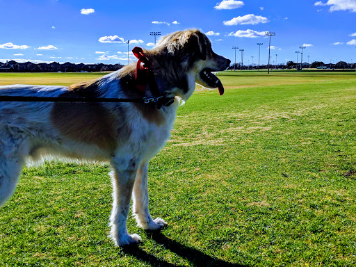 City Park «Celebration Park», reviews and photos, 701 Angel Pkwy, Allen, TX 75002, USA