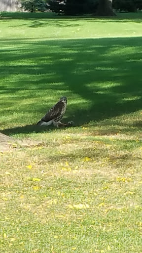 Golf Club «Fellows Creek Golf Course», reviews and photos, 2936 S Lotz Rd, Canton, MI 48188, USA