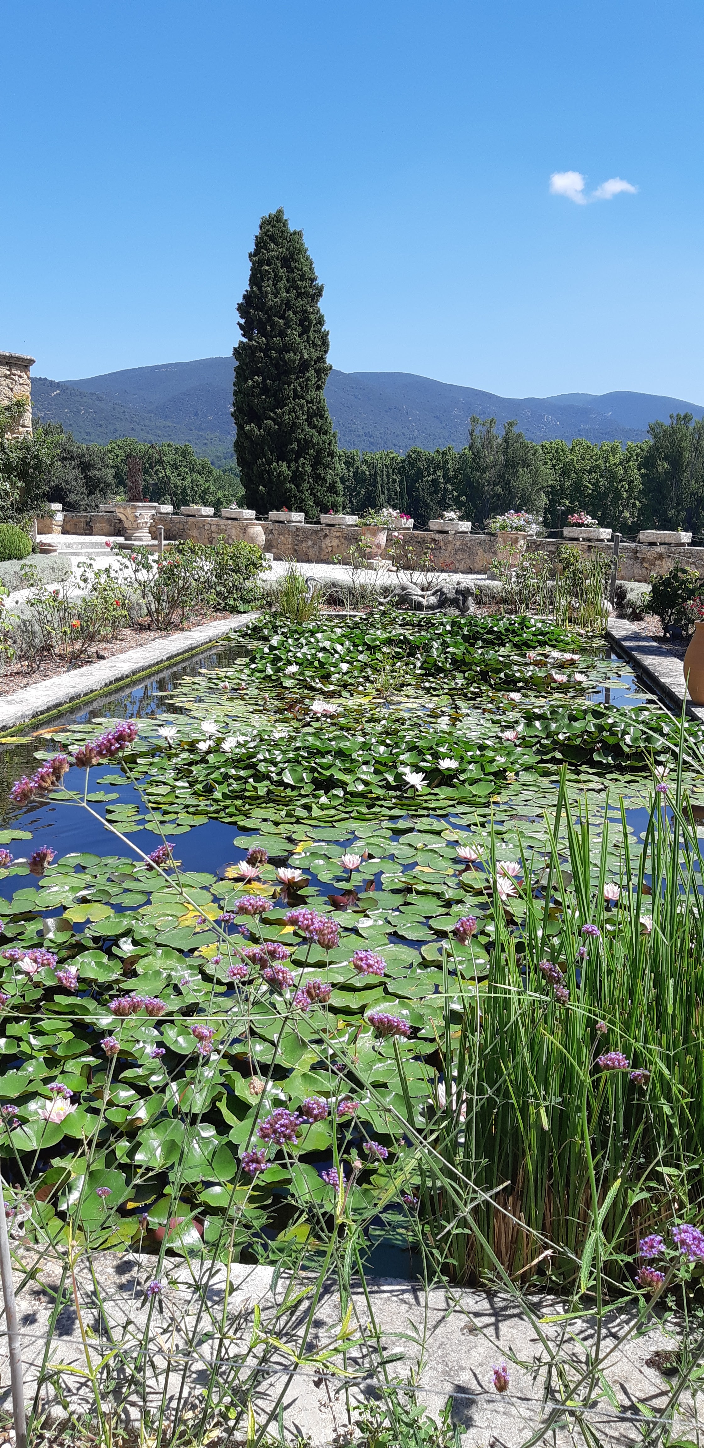 Photo n° 2 de l'avis de Muriel.s fait le 28/08/2018 à 18:59