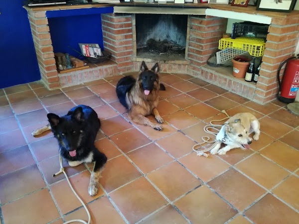 Font Galí Residéncia Canina