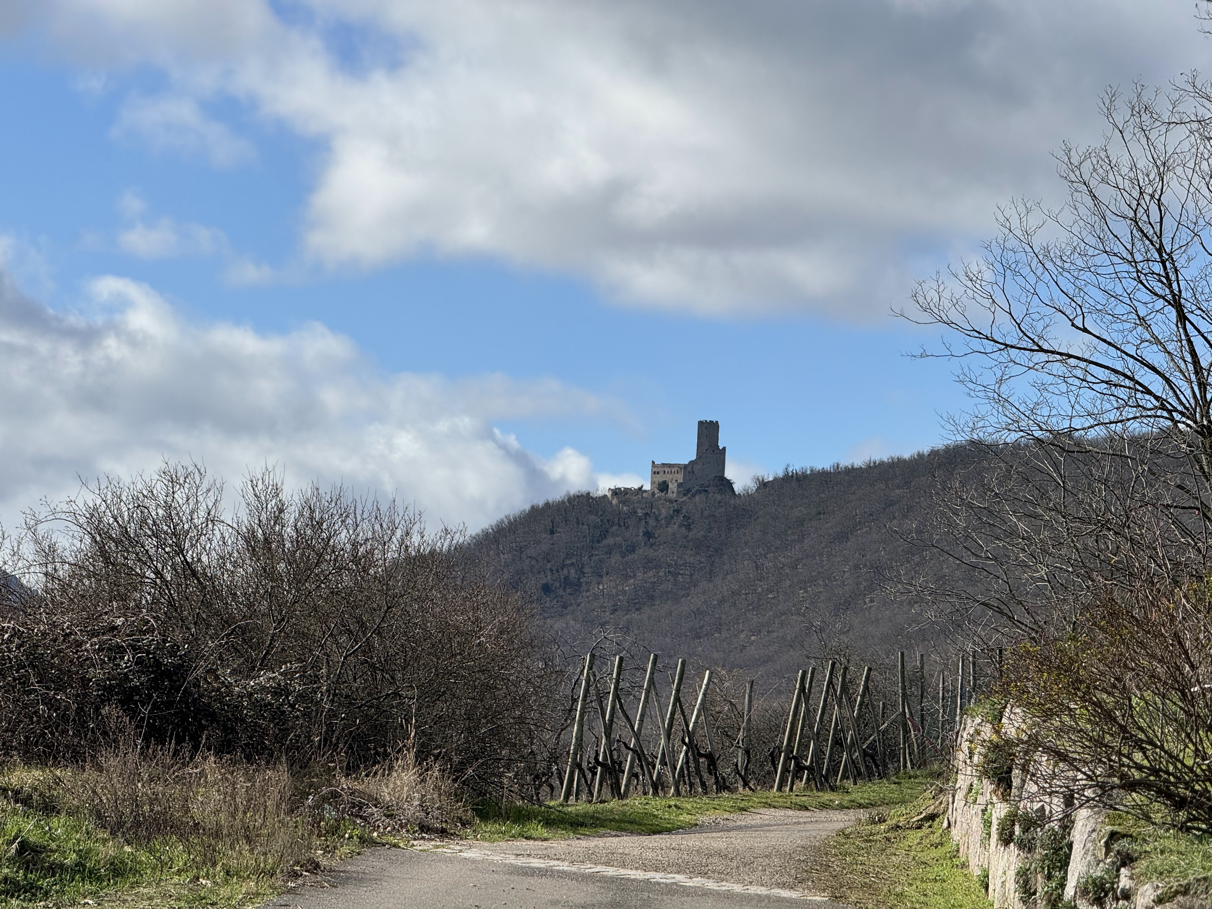 Photo n° 2 de l'avis de LIONEL.o fait le 23/02/2024 à 18:27