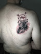 Flex ink art & Tattoo gallery