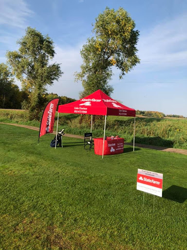 Auto Insurance Agency «Colin Charlson - State Farm Insurance Agent», reviews and photos