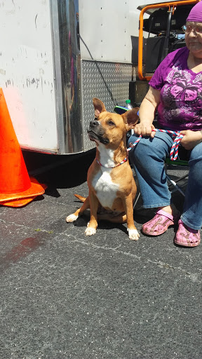 Pet Supply Store «Pet Supplies Plus», reviews and photos, 211 Golden Isles Plaza, Brunswick, GA 31520, USA