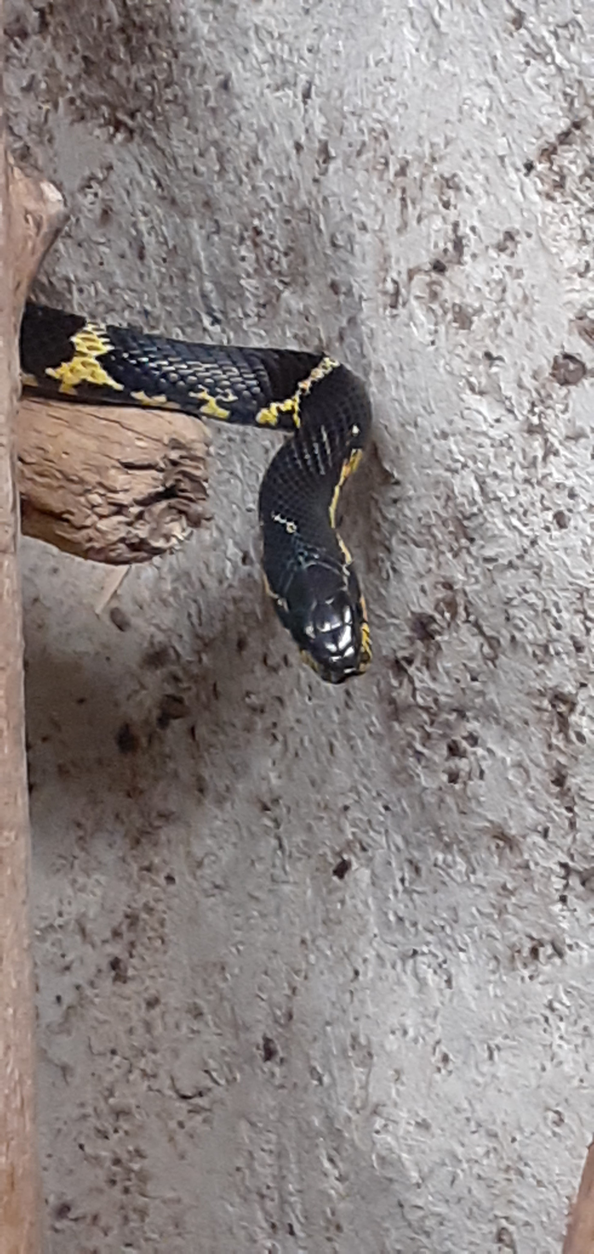 Photo n° 6 de l'avis de xavier.. fait le 15/08/2022 à 19:59