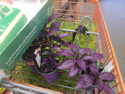 Home Improvement Store «The Home Depot», reviews and photos, 3790 3rd St S, Jacksonville Beach, FL 32250, USA