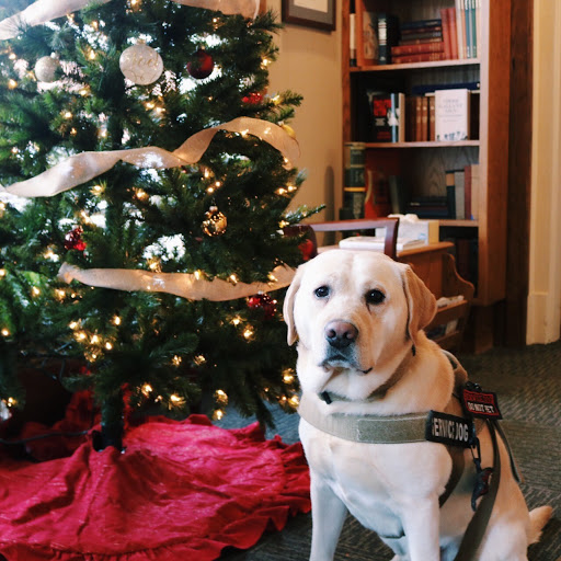 Criminal Justice Attorney «Berry Law Firm», reviews and photos