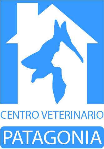 Opiniones de Centro Veterinario Patagonia en Natales - Veterinario