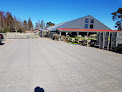 Sæby Planteskole Nejsiglund