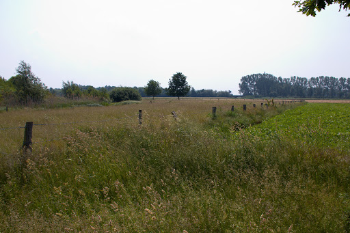 Aussichtspunkt Vogelwarte