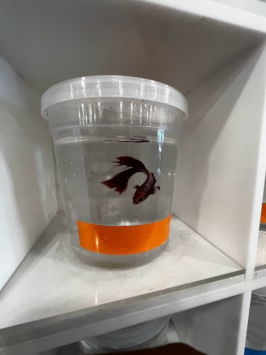 Pet Supply Store «PetSmart», reviews and photos, 67 Consumer Square, Plattsburgh, NY 12901, USA