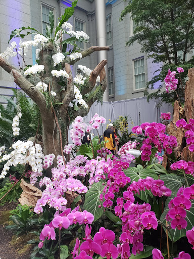 Art Museum «Smithsonian American Art Museum», reviews and photos, F St NW & 8th St NW, Washington, DC 20004, USA