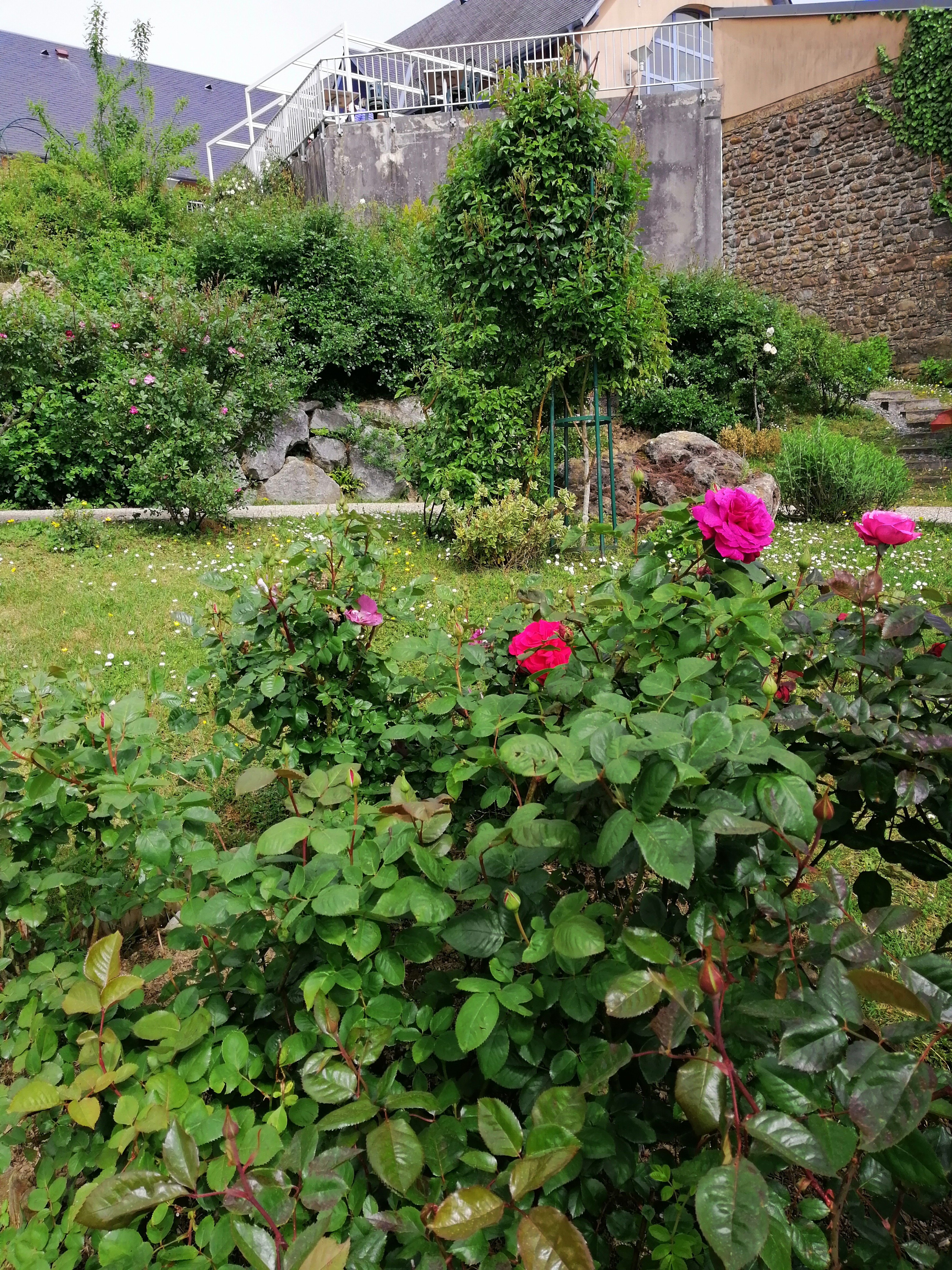 Photo n° 5 de l'avis de Isabel.r fait le 24/04/2019 à 16:53