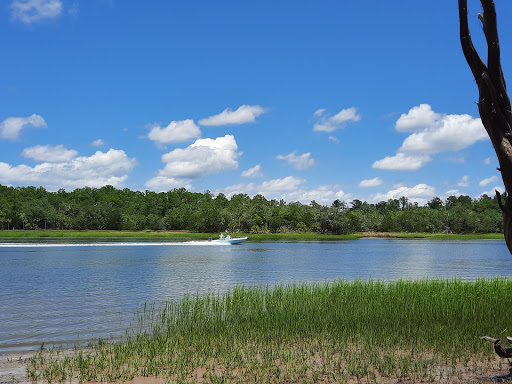 Ecological park Savannah