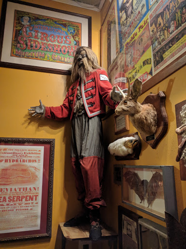 Gift Shop «Lucky Lizard Curios & Gifts», reviews and photos, 412 E 6th St, Austin, TX 78701, USA