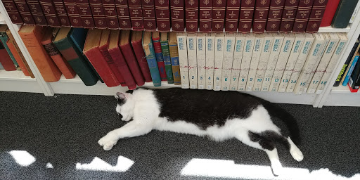 Book Store «Paperback Exchange», reviews and photos, 201 W Main St, Lancaster, OH 43130, USA