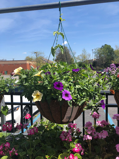 Hardware Store «Classic Ace Hardware», reviews and photos, 1622 Woodruff Rd, Greenville, SC 29607, USA